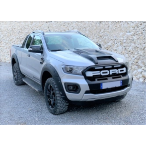 Pickup Ford